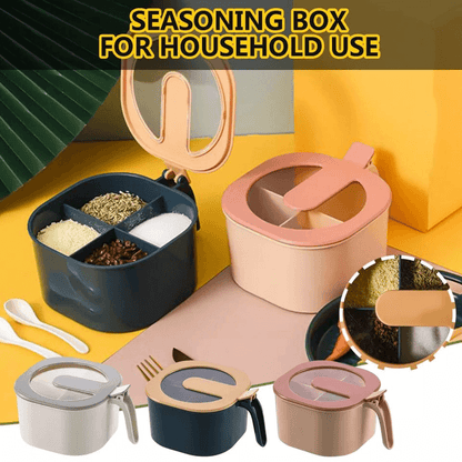 Seasoning four compartment storage box