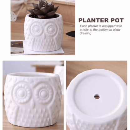 Owl pattern flowerpot