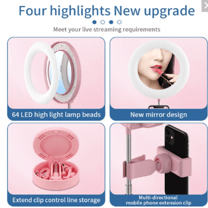 Portable led ring light & mirror phone stand