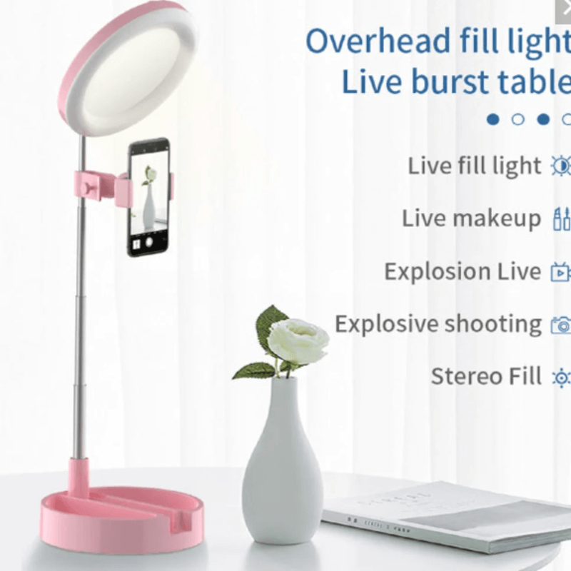 Portable led ring light & mirror phone stand