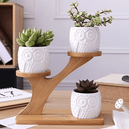 Owl pattern flowerpot