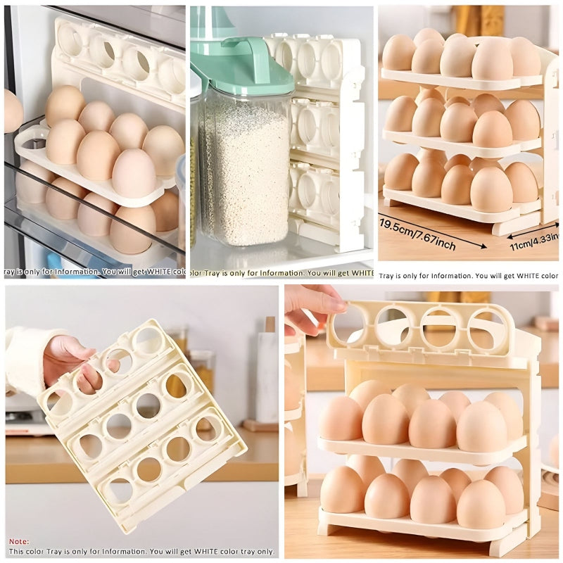 24 grid egg storage container