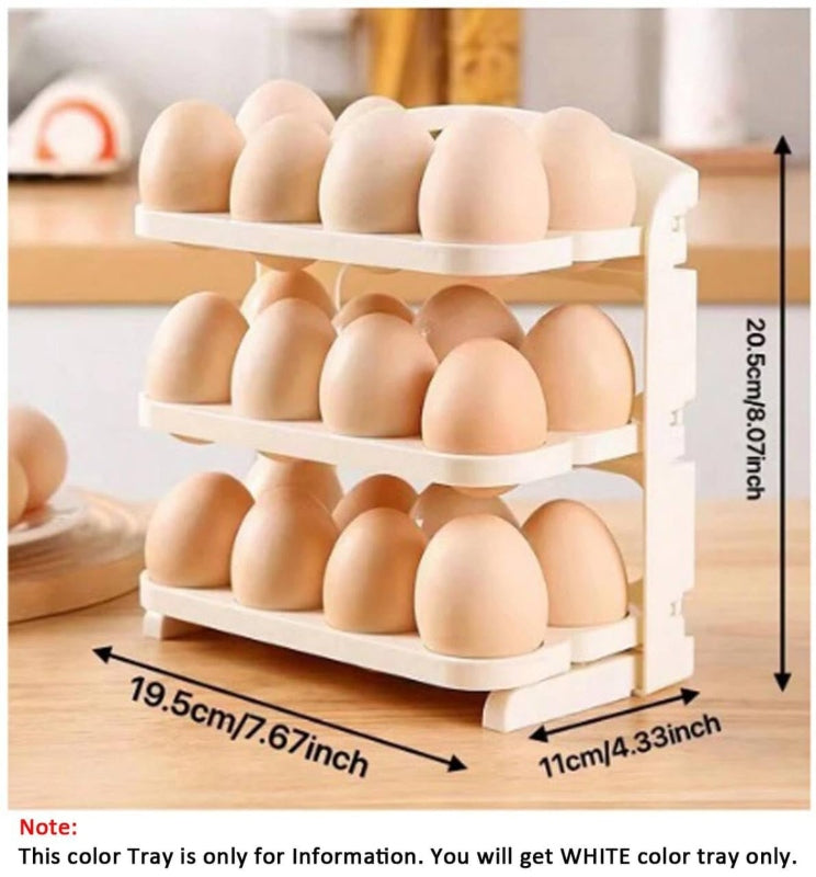 24 grid egg storage container