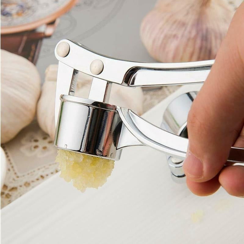 Stainless steel garlic press rocker