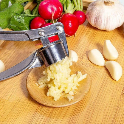 Stainless steel garlic press rocker