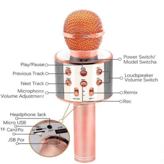 Wireless karaoke mic with speaker 