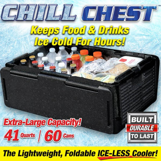 Chill cooler car insulated box - black