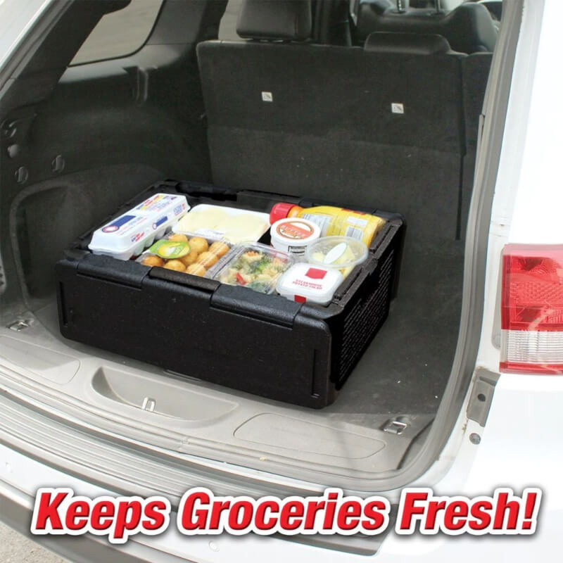 Chill cooler car insulated box - black